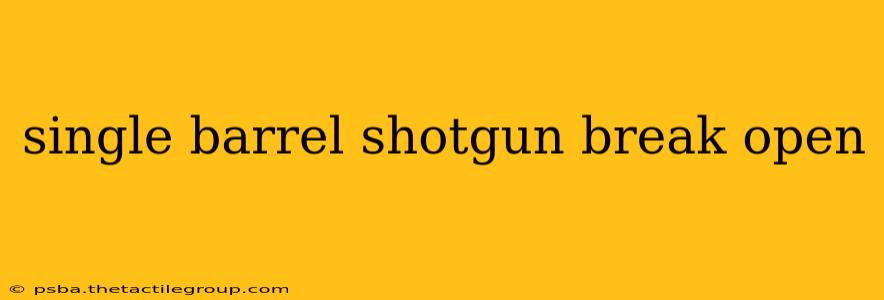 single barrel shotgun break open