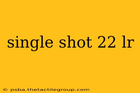 single shot 22 lr