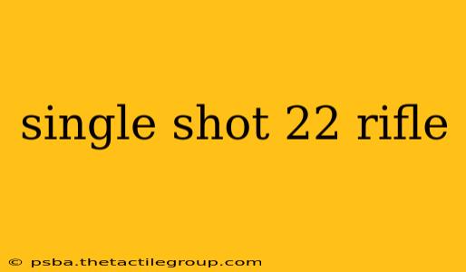 single shot 22 rifle