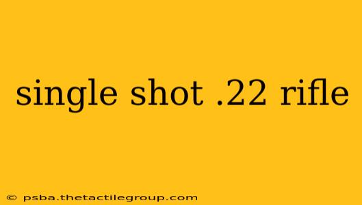 single shot .22 rifle