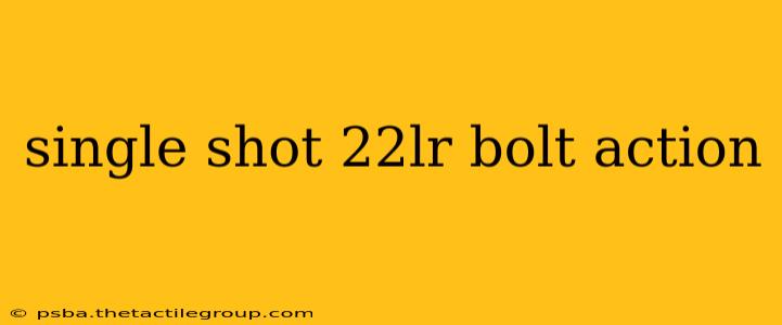 single shot 22lr bolt action