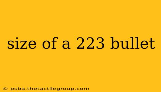 size of a 223 bullet