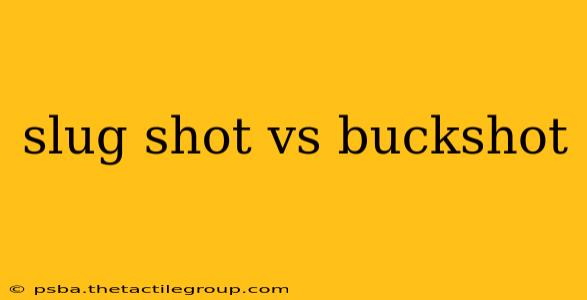 slug shot vs buckshot