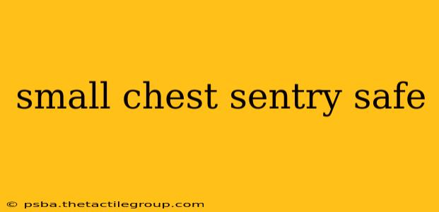 small chest sentry safe