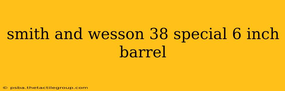 smith and wesson 38 special 6 inch barrel