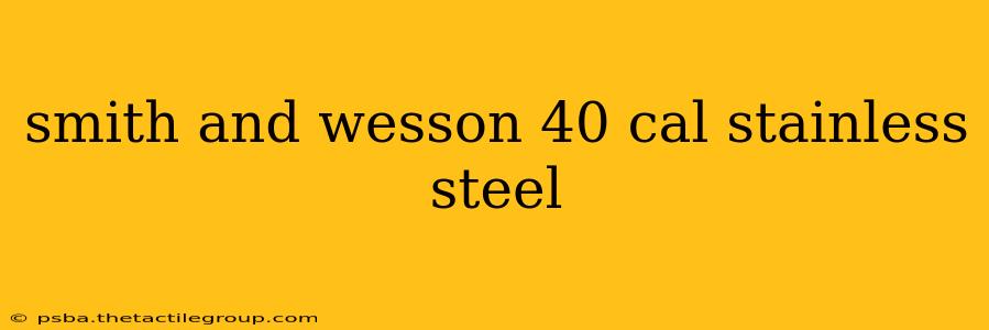 smith and wesson 40 cal stainless steel