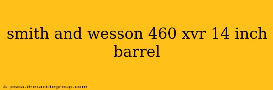 smith and wesson 460 xvr 14 inch barrel