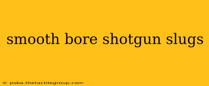 smooth bore shotgun slugs