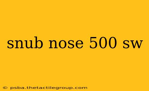 snub nose 500 sw