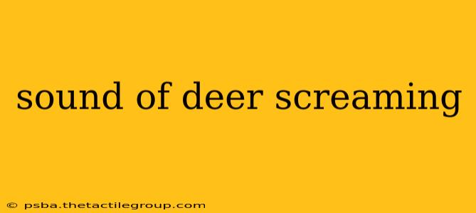 sound of deer screaming