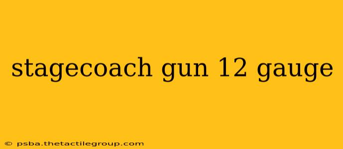 stagecoach gun 12 gauge