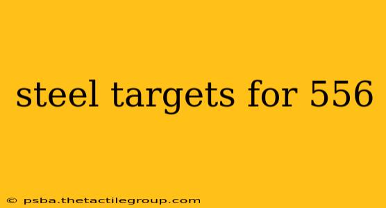 steel targets for 556