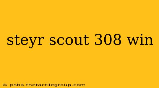 steyr scout 308 win