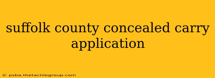 suffolk county concealed carry application