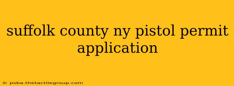 suffolk county ny pistol permit application