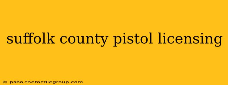 suffolk county pistol licensing