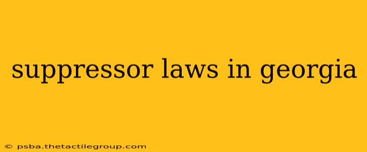 suppressor laws in georgia