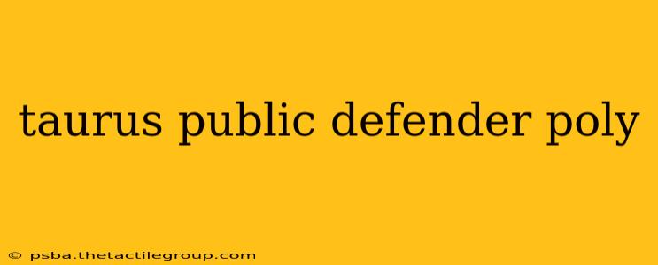 taurus public defender poly