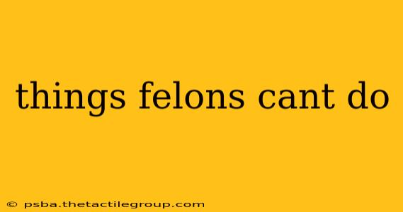 things felons cant do