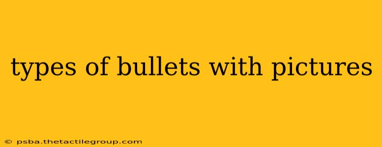 types of bullets with pictures