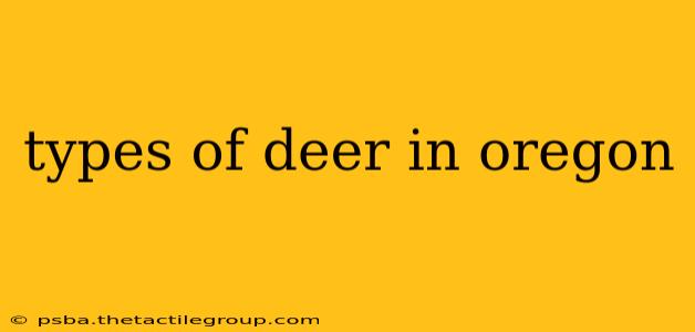 types of deer in oregon