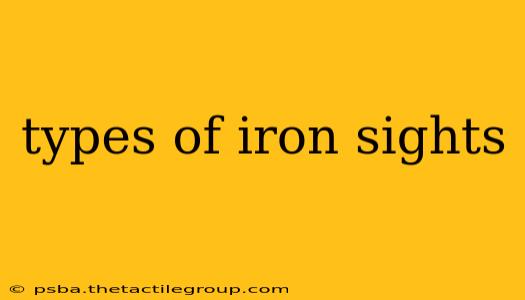 types of iron sights