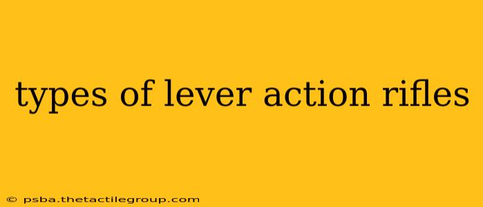 types of lever action rifles