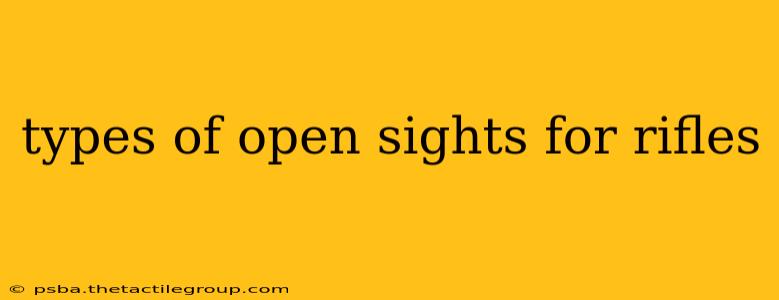 types of open sights for rifles