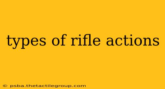 types of rifle actions