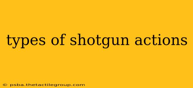 types of shotgun actions