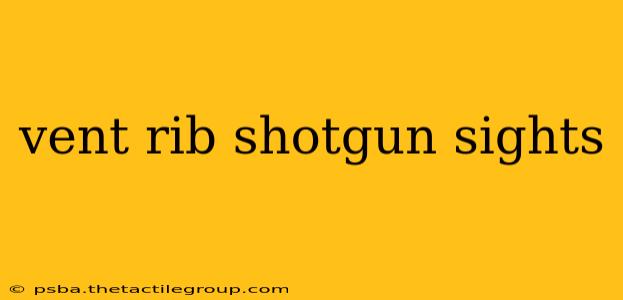 vent rib shotgun sights