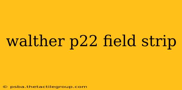 walther p22 field strip