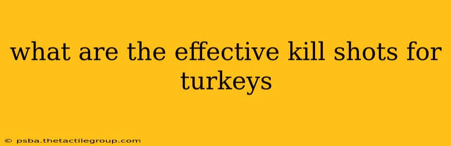 what are the effective kill shots for turkeys