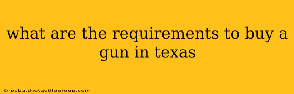 what are the requirements to buy a gun in texas