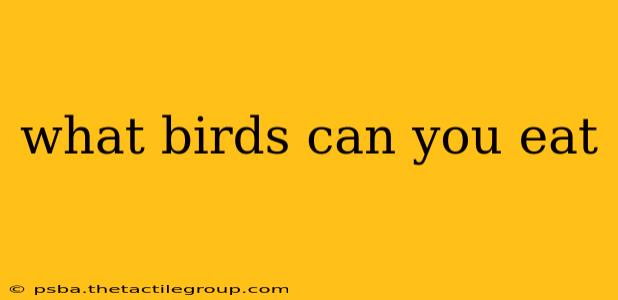 what birds can you eat