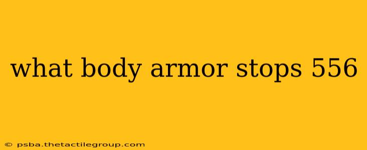 what body armor stops 556