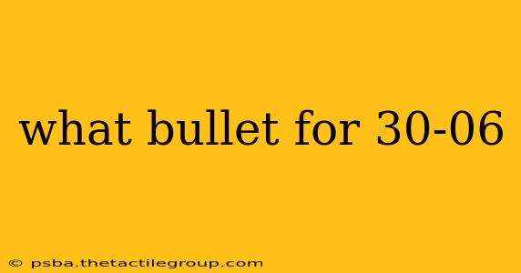 what bullet for 30-06