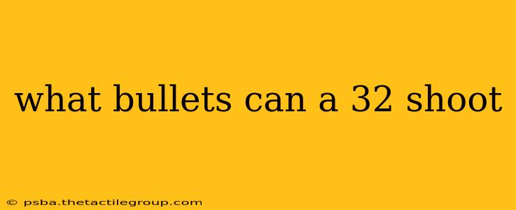 what bullets can a 32 shoot