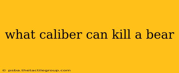 what caliber can kill a bear