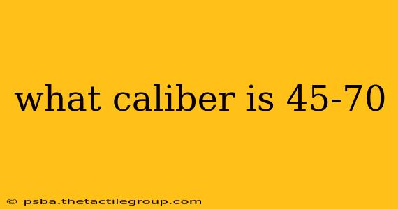 what caliber is 45-70