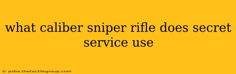 what caliber sniper rifle does secret service use