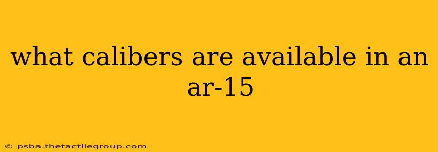 what calibers are available in an ar-15