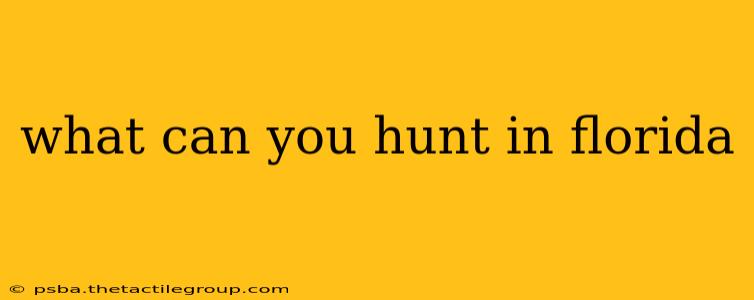 what can you hunt in florida