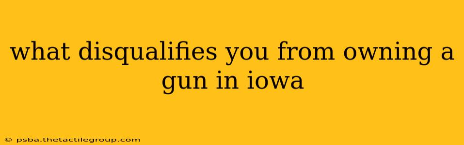 what disqualifies you from owning a gun in iowa