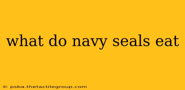 what do navy seals eat