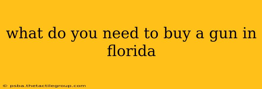 what do you need to buy a gun in florida