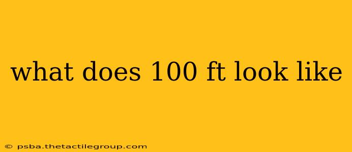 what does 100 ft look like