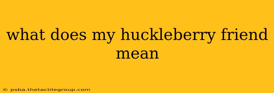 what does my huckleberry friend mean