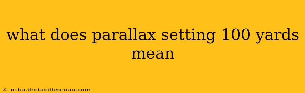 what does parallax setting 100 yards mean