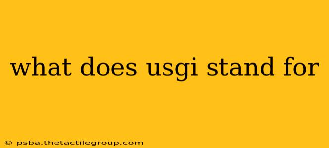 what does usgi stand for